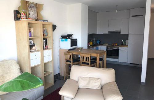 Meyrin Apartment | One bedroom 3pieces entire Modern Appartment close to Airport, CERN, Palexpo, public transport to the center of Geneva
