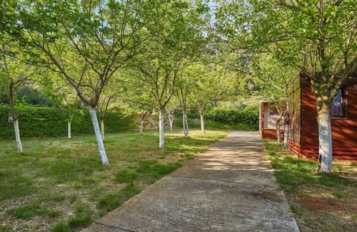 Mljet Apartment | One bedroom apartment with terrace Babino Polje, Mljet (A-22319-c)