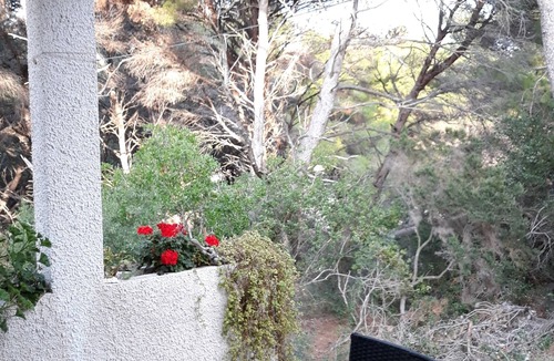 Kobas Apartment | One bedroom apartment with terrace Cove Blaca, Mljet (A-10416-a)