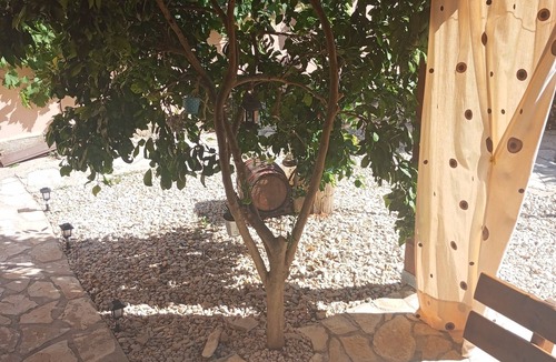 Nevidane Apartment | One bedroom apartment near beach Neviđane, Pašman (A-11902-d)