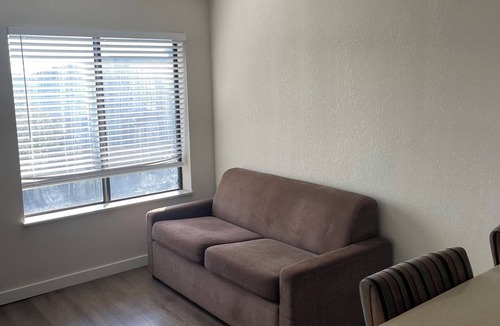 Barker Apartment | One-Bedroom Apartment with Pool View in Houston Texas