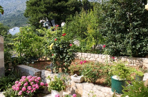 Zivogosce Apartment | One bedroom apartment with terrace and sea view Živogošće - Porat, Makarska (A-2733-d)