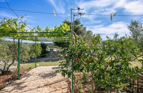 Cove Osibova (Milna) Apartment | One bedroom apartment with terrace Cove Smrčeva, Brač (A-20193-b)