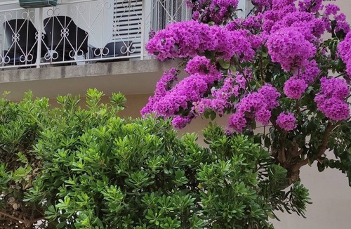 Trpanj Apartment | One bedroom apartment with balcony Trpanj, Pelješac (A-14309-a)