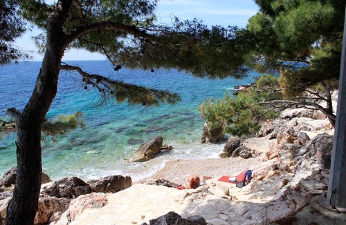 Ivan Dolac Apartment | One bedroom apartment with terrace and sea view Ivan Dolac, Hvar (A-4584-d)