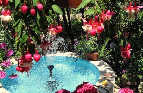 Milna (Brac) Apartment | One bedroom apartment with terrace Milna (Brač) (A-5242-b)
