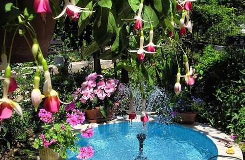 Milna (Brac) Apartment | One bedroom apartment with terrace Milna (Brač) (A-5242-b)