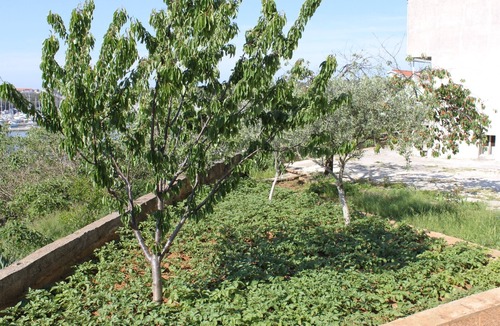 Vintijan Apartment | One bedroom apartment with balcony and sea view Pula (A-7681-a)