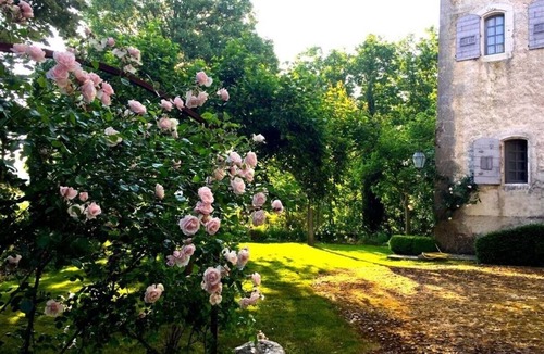 Esparron-de-Verdon Apartment | One-Bedroom Apartment