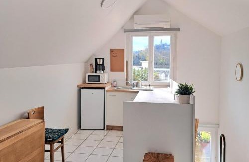 Les Rosiers-sur-Loire Apartment | One bedroom flat with a view