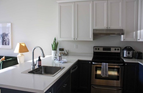 Brandon Apartment | One Bedroom Sunny Apartment