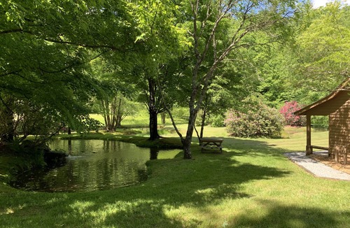 Rabun Gap Cabin | One King, One Full, Bunkbeds, Queen Sleeper Sofa