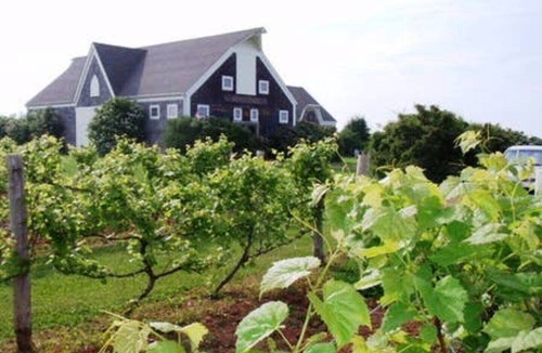 Wood Islands Cottage | One-minute walk to a sandy beach. Beachside Haven Cottage awaits.