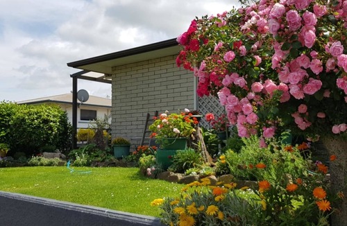 Woodville Apartment | One on Vogel.