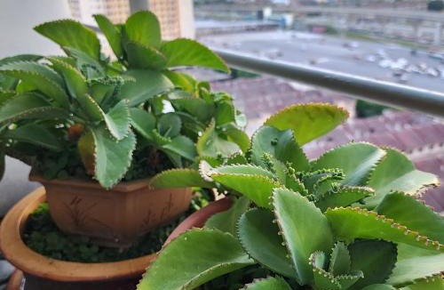 Bukit Jalil Apartment | One South 3bedroom, MRT to TRX