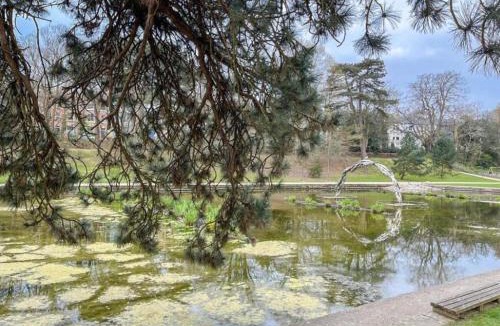 Stone Apartment | Only Cyber