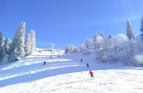 Onnion Apartment | Onnion