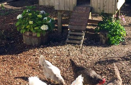 Stanton Drew Apartment | Oolitic Springs