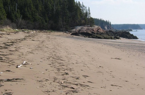 New River Beach House | Open Concept Waterfront Home On Private Sandy Beach