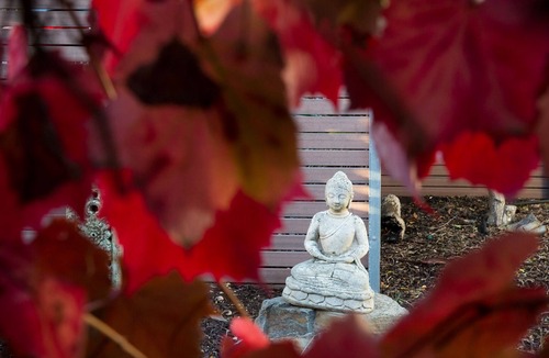 Strathalbyn Cottage | Open Fire and Spa Bath Indulgent and Luxury Villa