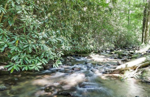 Blue Ridge House | Open Studio Lodge at Little Rock Creek