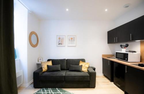 Terreaux - Bat d'argent Apartment | Opera 6 - Lovely studio - Hôtel de Ville