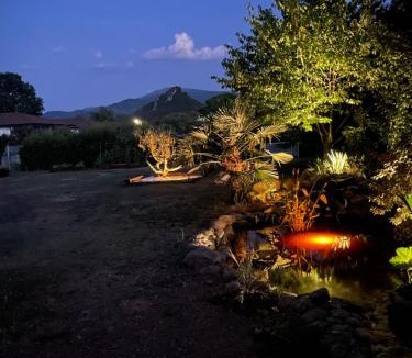Foix House | Ophidia