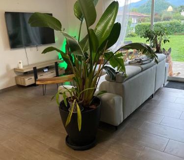 Foix House | Ophidia