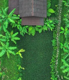 Kecamatan Pringgasela House | Opik Homestay Tete Batu