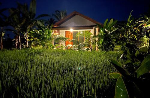 Kecamatan Pringgasela House | Opik Homestay Tete Batu