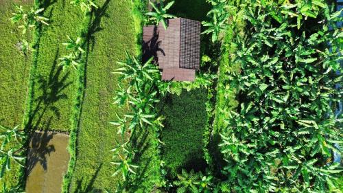 Kecamatan Pringgasela House | Opik Homestay Tete Batu