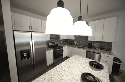 Forest Park Apartment | Optimum - Groovy Sanctuary!
