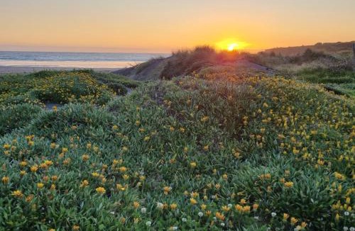 Opunake Resort | Opunake Beach Holiday Park