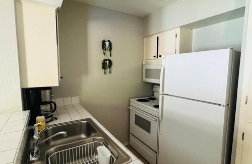 Lower Greenville Apartment | Oram 105: Bright Contemporary Flat Near Greenville Avenue
