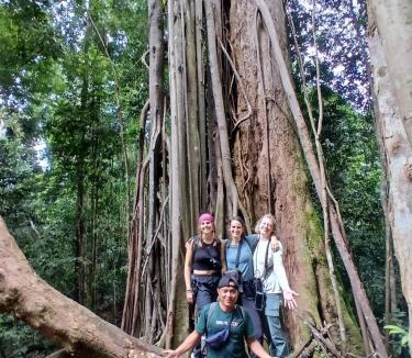 Bukit Lawang House | Orangutan Inn