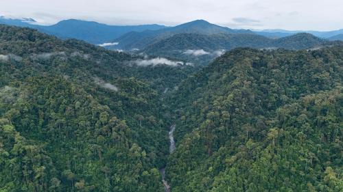 Bohorok Villa | OrangUtan Villa & Ethical Jungle Trekking,Only stay here and book your trekking with us