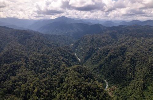 Bohorok Villa | OrangUtan Villa & Ethical Jungle Trekking,Only stay here and book your trekking with us