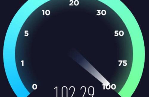 Mobile Apartment | Orca Whale Suite Double Bed