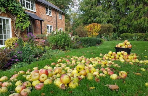 New Forest District House | Orchard Barn Spa, exclusively for you, New Forest