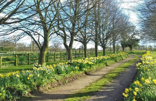 Aldborough Cottage | Orchard Cottage-23895