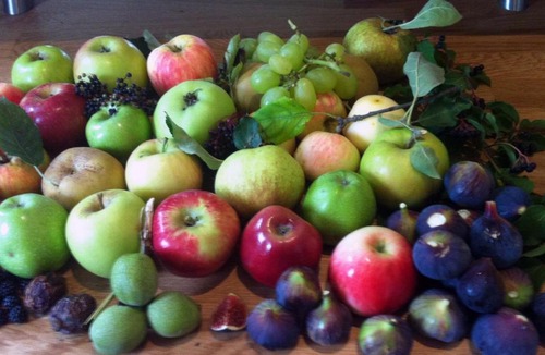 Salernes Villa | Orchard House