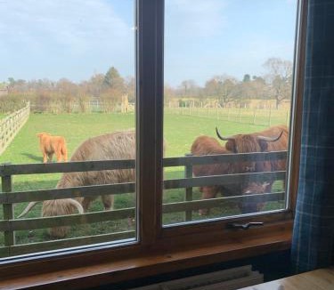 Haddington Cabin | Orchard House Lodges by Ecohuman