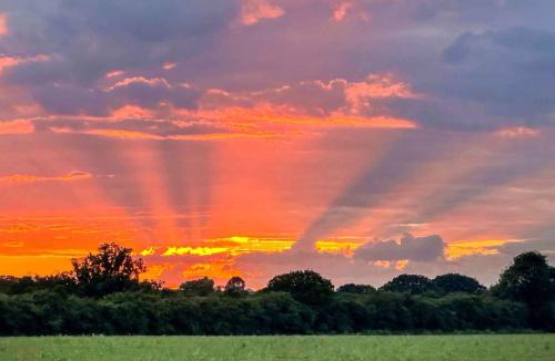 Rochford House | Orchard House - Uk48580