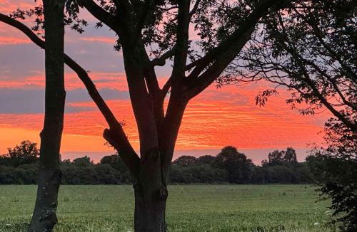 Rochford House | Orchard House - Uk48580