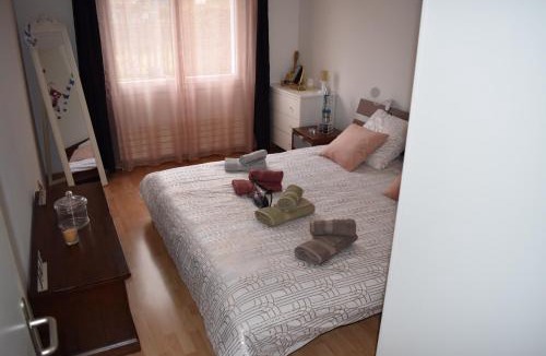Breitenbach Apartment | Orchidée SPA Apartment with Jacuzzi close by Laufen