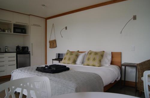 Oriental Bay Apartment | Oriental Bay At Its Best