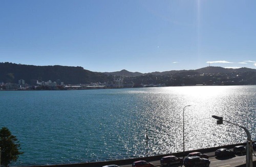 Oriental Bay Apartment | Oriental Bay Waterfront with 180 Views