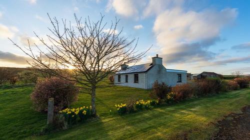Orphir Bed & Breakfast | Orkney Bed & Whisky
