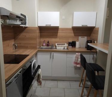 Saint-Jean-de-la-Ruelle Apartment | Orleans appartement 31 m2