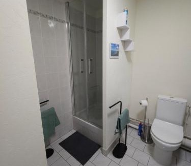 Saint-Jean-de-la-Ruelle Apartment | Orleans appartement 31 m2